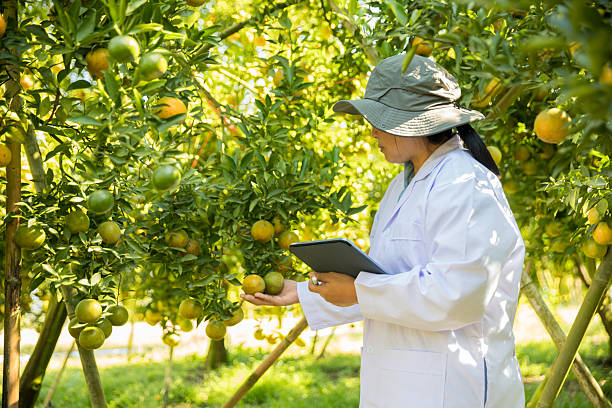 Citrus Orchard Manager