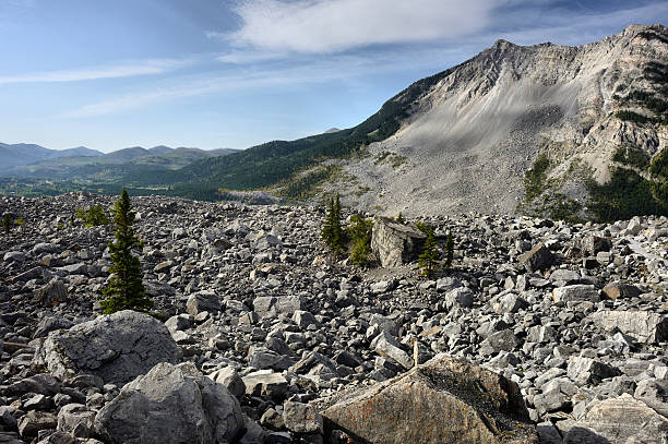 Environmental Seismologist (Specialized Role)