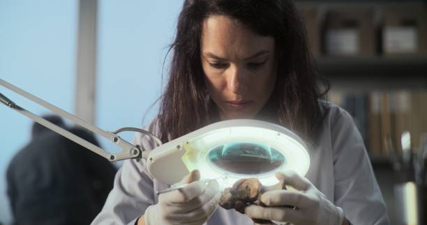 Junior Research Assistant