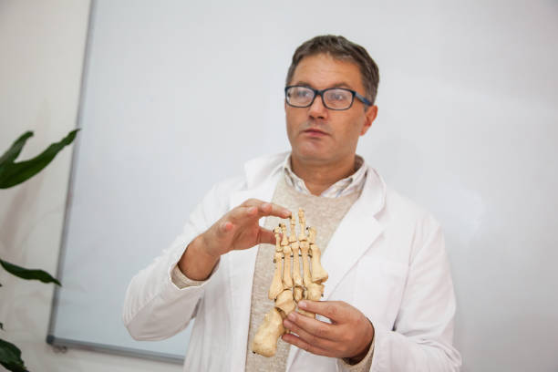 Morphology Professor