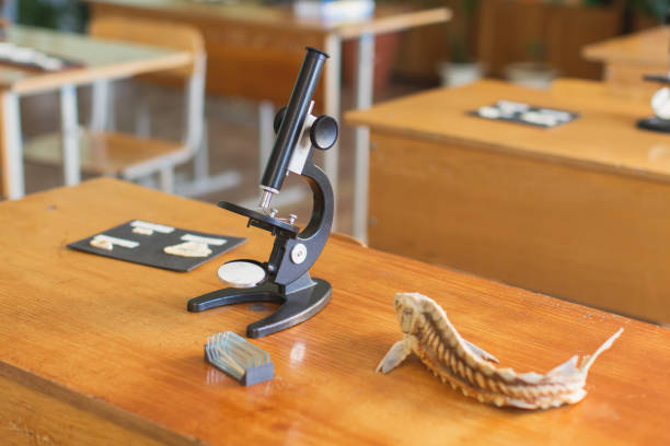 Evolutionary Biologist