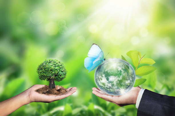 Global Biodiversity Expert