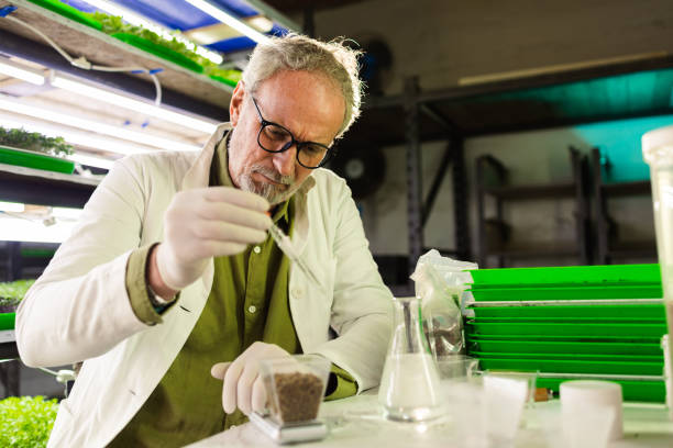 Senior Mycologist/Research Lead