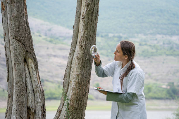 Conservation Mycologist (Specialized Role)