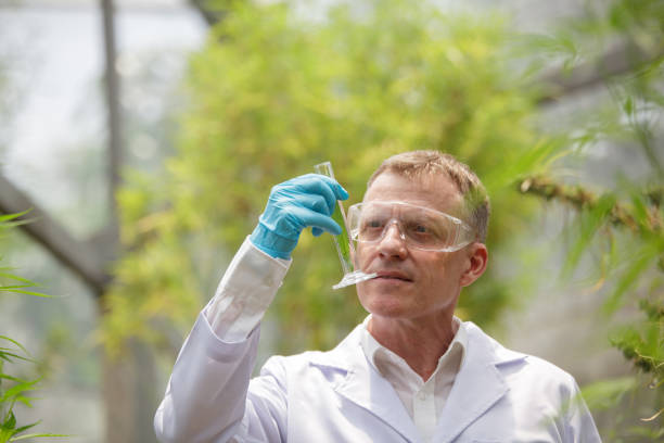 Aerobiology Program Director/Professor