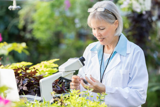 Senior Photobiologist /Research Lead