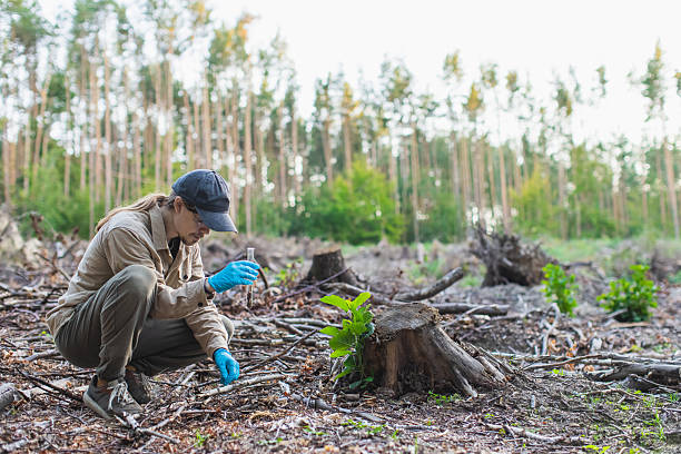 Wildlife Ecologist (Specialized Role)