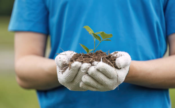 Restoration Ecologist (Specialized Role)