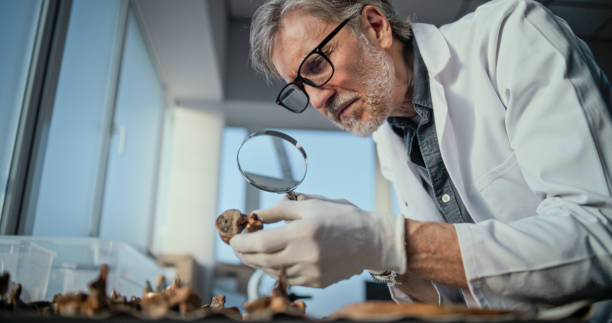 Global Zoology Expert