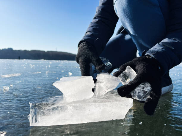 Paleoclimatologist (Specialized Role)