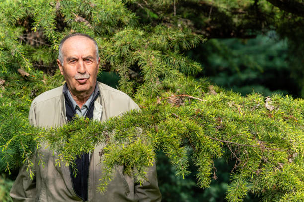 Senior Dendrologist/Research Head