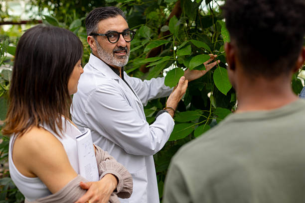 Program Director/Professor