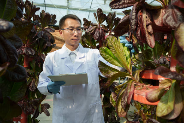 Senior Horticulturalist