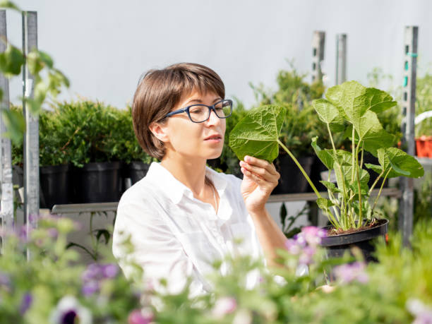 Horticultural Research Director