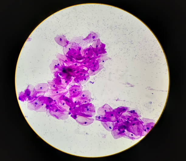 Established Cytologist
