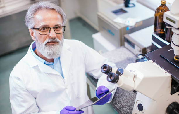 Program Director/Professor