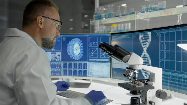 Program Director/Professor