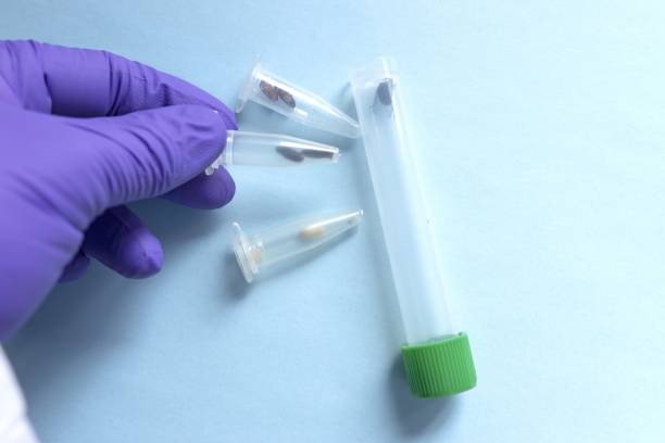 Forensic Entomologist (Specialized Role)