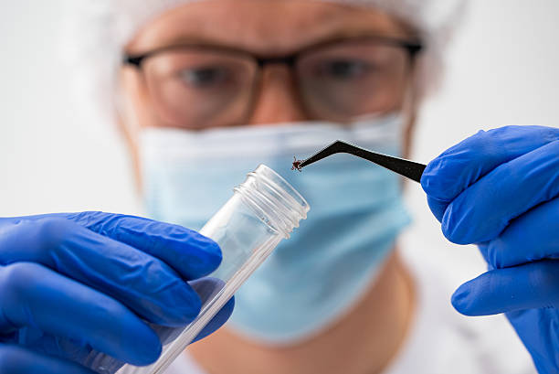 Senior Bacteriologist/Research Head