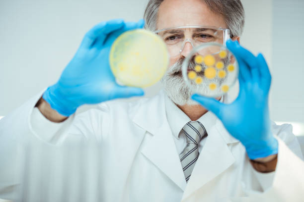 Program Director/Professor