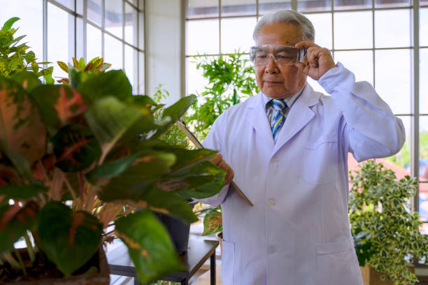 Director of Plant Research