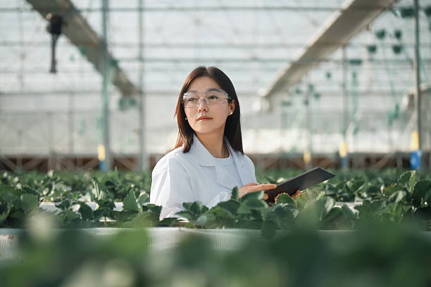 Chief Conservation Officer