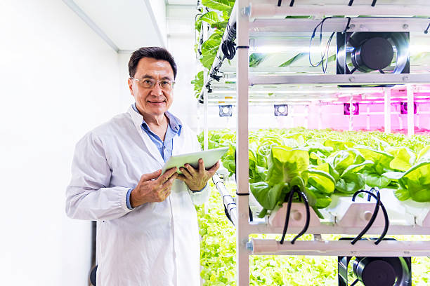 Senior Climate Scientist/Research Lead