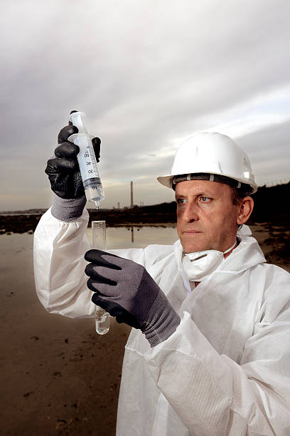 Program Director/Professor