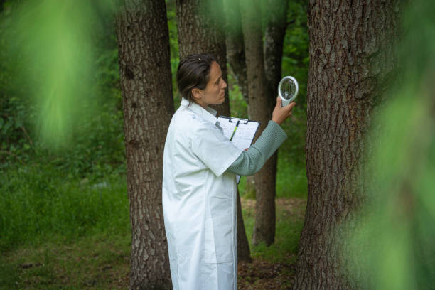 Forest Microclimatologist (Specialized Role)