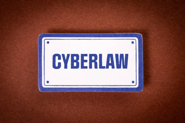 Cyber-Law Consultant
