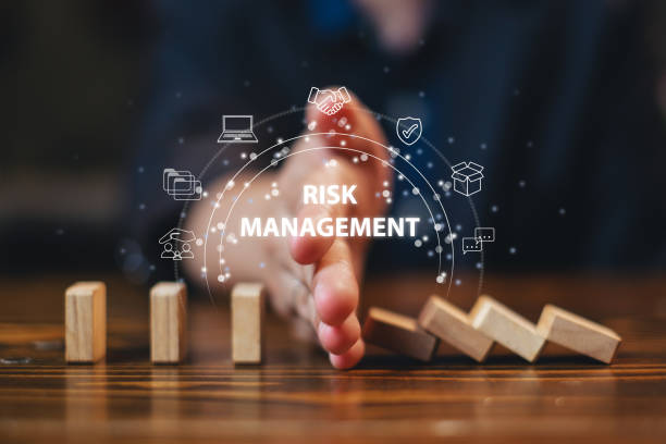 Risk Management Consultant