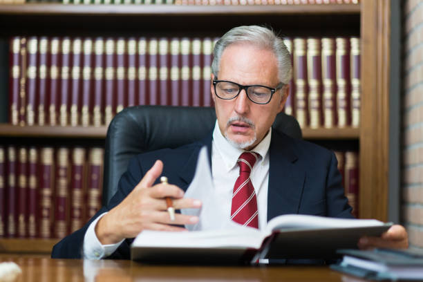 Public Interest Lawyer (Constitutional Focus)