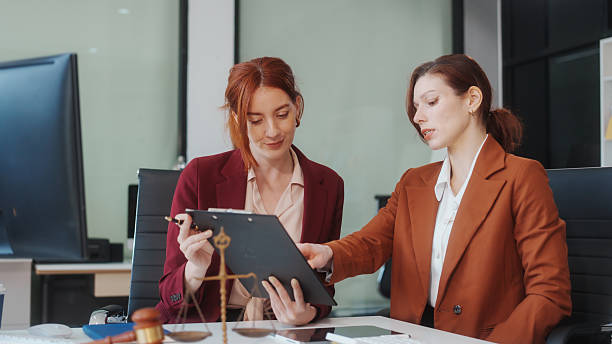 Civil Legal Consultant