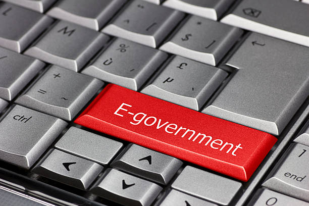 E-Governance Consultant (Niche Role)