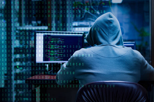 Bug Bounty Hunter (Niche Role)