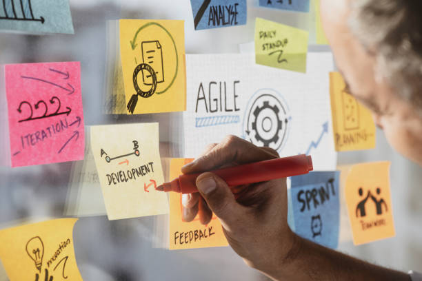 Agile Project Manager (Specialized Role)