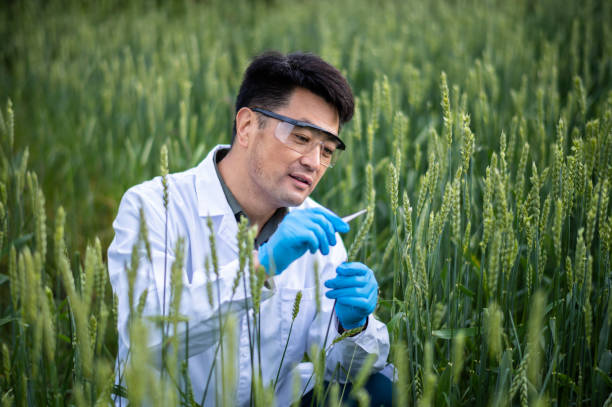 Agricultural Biotechnologist