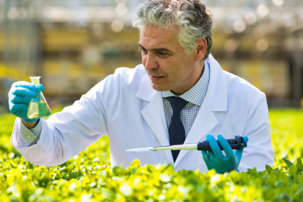Plant Biotechnology Specialist