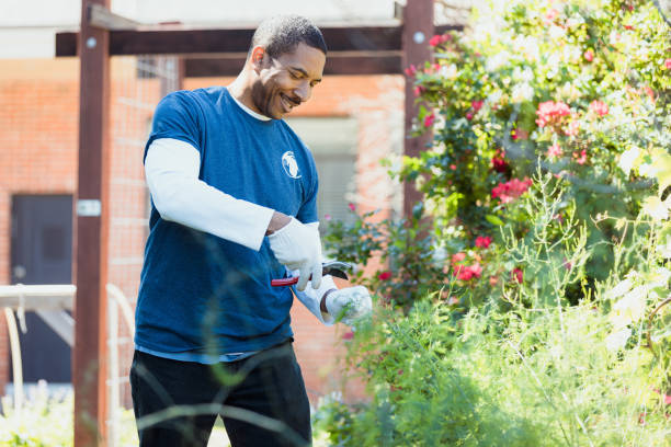 Director of Sustainable Agriculture