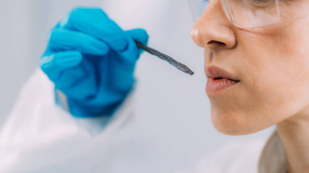 Sensory Scientist