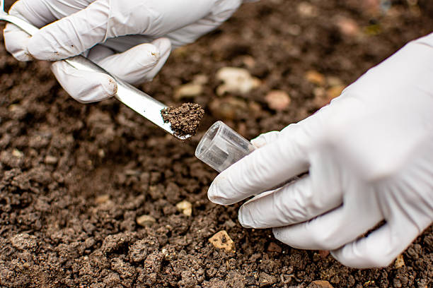 Soil Fertility Consultant