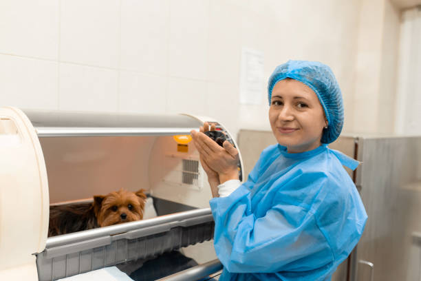 Veterinary Oncology Consultant