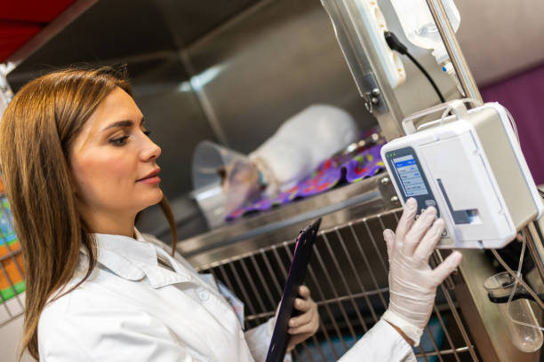 Veterinary Oncology Research Leader