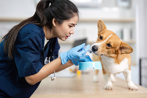 Specialized Veterinary Nutritionist