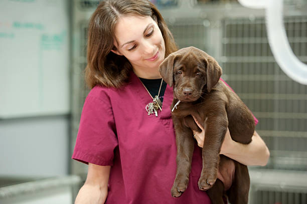 Veterinary Practice Manager