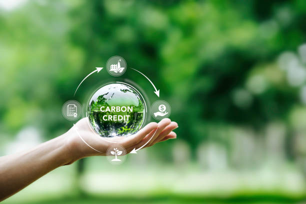 Junior Carbon Credit Trader