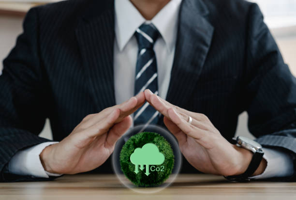 Chief Sustainability Officer (CSO)