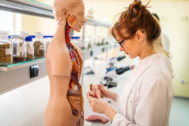 Anatomic Pathologist