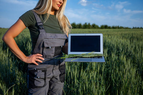 AgriTech Developer