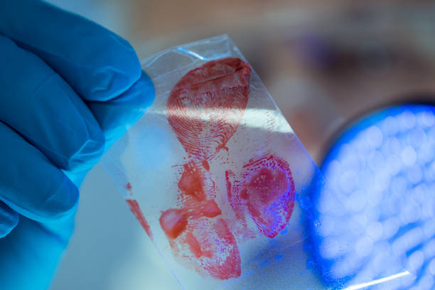 Junior Digital Forensics Analyst